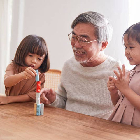 Plan Toys - Rectangular Puzzle Wooden Game