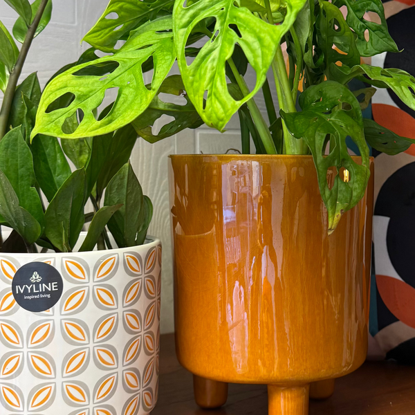 IvyLine Geometric Pot – Mustard 10cm