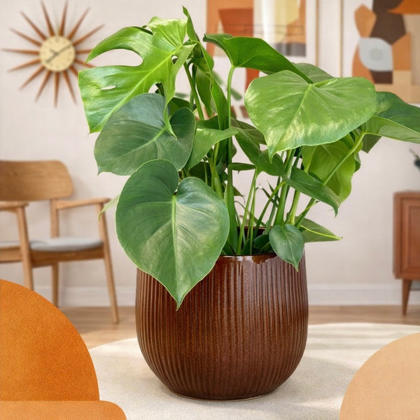 Brown Pablo Ripple Round Pot - 29cm